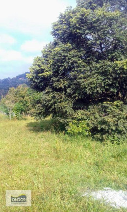 Imagem Terreno à Venda, 1.600 m² em Chácara Santa Mônica - Vargem Grande Paulista Imagem Terreno à Venda, 1.600 m² em Chácara Santa Mônica - Vargem Grande Paulista