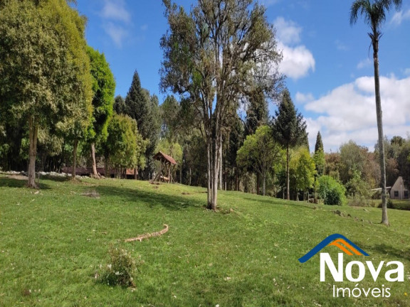 Imagem Imóvel à Venda, em Linha Imperial - Nova Petrópolis Imagem Imóvel à Venda, em Linha Imperial - Nova Petrópolis