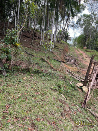 Imagem Chácara com 4 Quartos à Venda, 52.000 m² em Miracatu Imagem Chácara com 4 Quartos à Venda, 52.000 m² em Miracatu