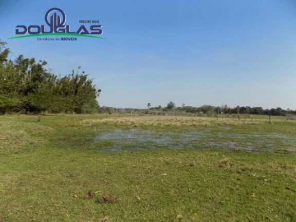 Imagem Chácara à Venda, 20.000 m² em águas Claras - Viamão