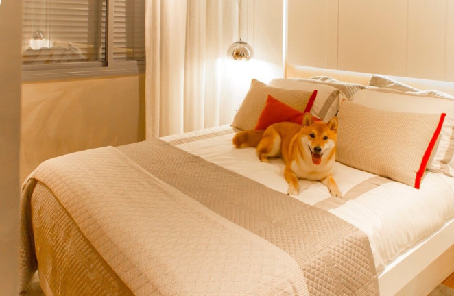 Imagem Apartamento com 2 Quartos à Venda, 50 m² em Vila Mascote - São Paulo Imagem Apartamento com 2 Quartos à Venda, 50 m² em Vila Mascote - São Paulo