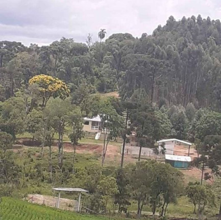 Imagem Imóvel com 3 Quartos à Venda, em Antonio Olinto - Antônio Olinto Imagem Imóvel com 3 Quartos à Venda, em Antonio Olinto - Antônio Olinto