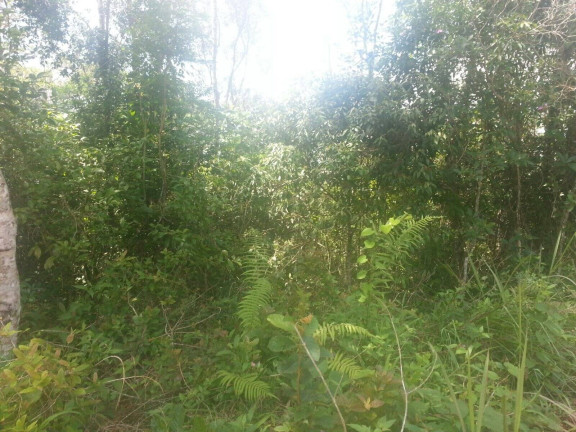 Imagem Terreno à Venda, 500 m² em Ibiúna Imagem Terreno à Venda, 500 m² em Ibiúna