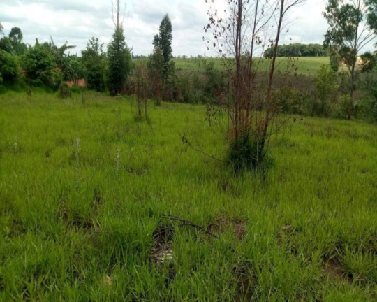 Imagem Terreno à Venda, em Serra Italiana - Pardinho Imagem Terreno à Venda, em Serra Italiana - Pardinho