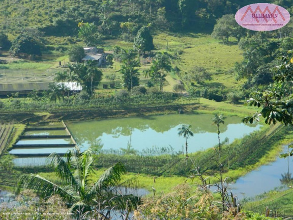 Imagem Imóvel com 1 Quarto à Venda, 83 m² em Plantação Com Certificação Orgânica Para O Brasil E Para A Europa. - Peruíbe
