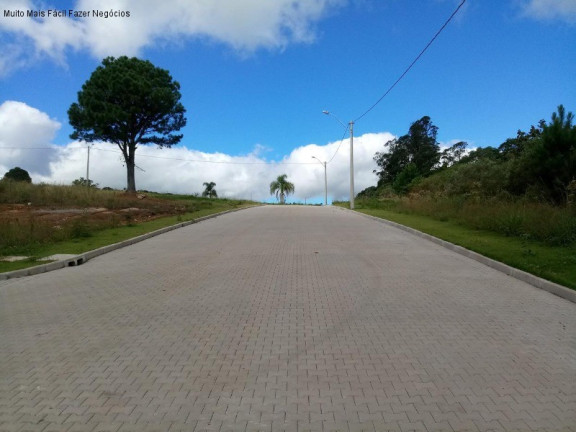 Terreno à Venda, 370 m² em Linha Imperial - Nova Petrópolis