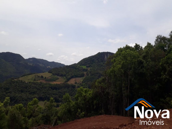 Imagem Imóvel à Venda, 31.701 m² em Linha Pirajá Baixa - Nova Petrópolis Imagem Imóvel à Venda, 31.701 m² em Linha Pirajá Baixa - Nova Petrópolis