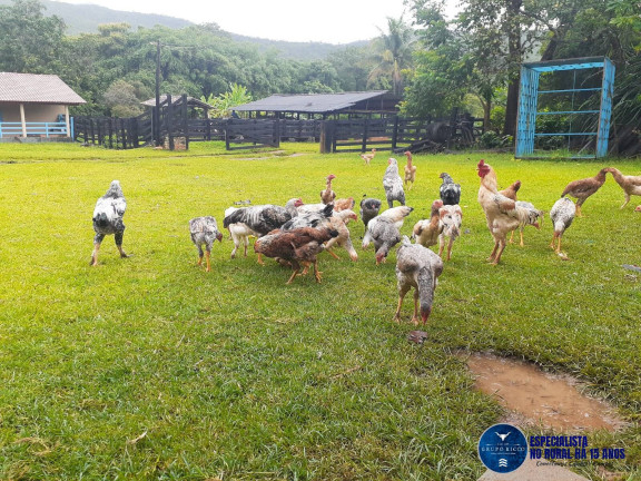 Imagem Chácara à Venda, 14 m² em Zona Rural - Pirenópolis Imagem Chácara à Venda, 14 m² em Zona Rural - Pirenópolis