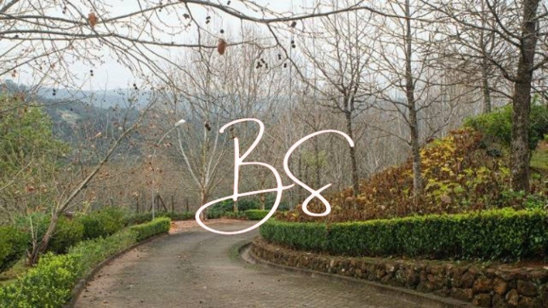 Imagem Imóvel com 2 Quartos à Venda, em Linha Bonita - Gramado Imagem Imóvel com 2 Quartos à Venda, em Linha Bonita - Gramado