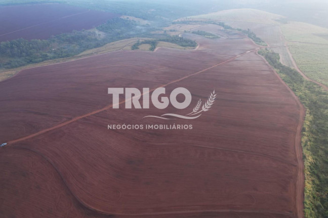 Fazenda à Venda, 50 m² em Zona Rural - Patrocínio Paulista