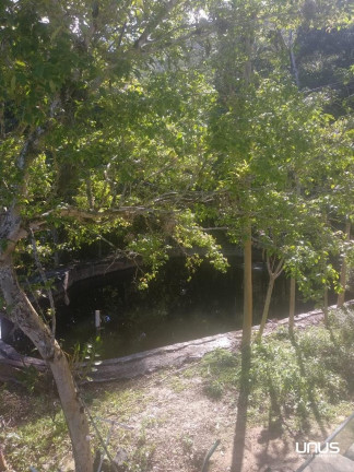 Imagem Fazenda à Venda, 46.887 m² em Sul Do Rio - Santo Amaro Da Imperatriz
