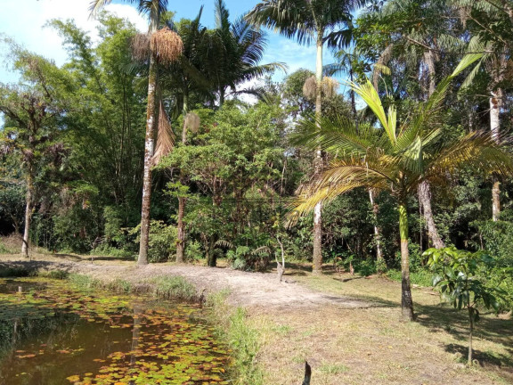 Imagem Chácara com 4 Quartos à Venda, 5.000 m² em Jardim Aguapeú - Itanhaém Imagem Chácara com 4 Quartos à Venda, 5.000 m² em Jardim Aguapeú - Itanhaém