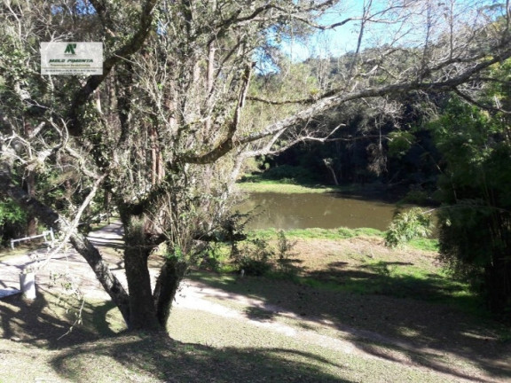 Imagem Fazenda à Venda, 198.000 m² em Vila Darci Penteado - São Roque Imagem Fazenda à Venda, 198.000 m² em Vila Darci Penteado - São Roque