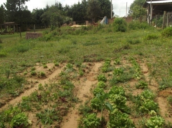 Imagem Terreno à Venda, 585 m² em águas Claras - Viamão