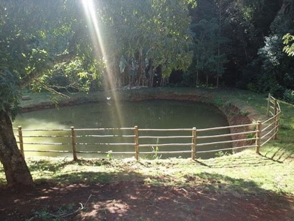 Imagem Chácara com 3 Quartos à Venda, 800 m² em Tanque - Atibaia Imagem Chácara com 3 Quartos à Venda, 800 m² em Tanque - Atibaia