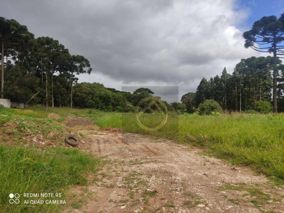 Imagem Terreno à Venda, 5.544 m² em Umbará - Curitiba Imagem Terreno à Venda, 5.544 m² em Umbará - Curitiba