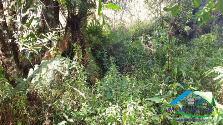 Imagem Terreno à Venda, 113.740 m² em Centro - Gonçalves