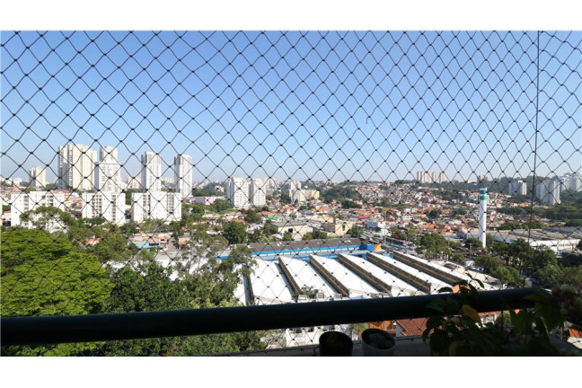 Imagem Imóvel com 3 Quartos à Venda,  em Vila Sônia - São Paulo