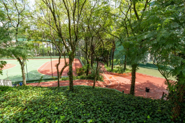 Imagem Imóvel com 3 Quartos à Venda, 260 m² em Vila Andrade - São Paulo Imagem Imóvel com 3 Quartos à Venda, 260 m² em Vila Andrade - São Paulo
