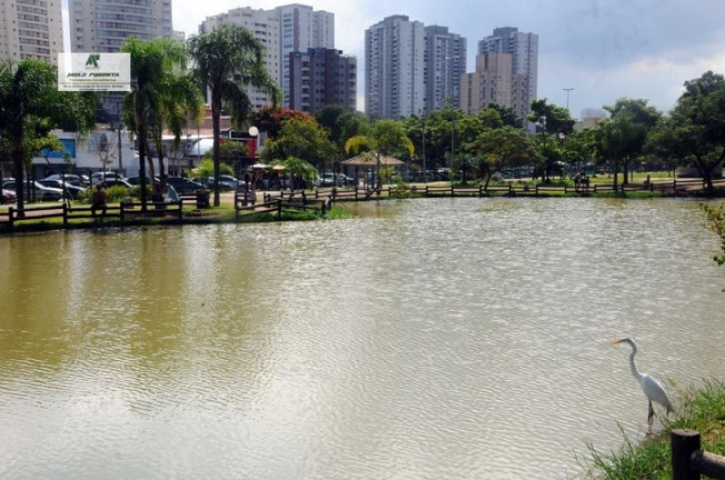 Imagem Apartamento com 2 Quartos à Venda, 65 m² em Vila Galvão - Guarulhos Imagem Apartamento com 2 Quartos à Venda, 65 m² em Vila Galvão - Guarulhos