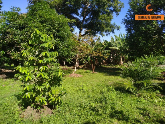 Imagem Imóvel com 6 Quartos à Venda, 4.278 m² em Abrantes - Camaçari Imagem Imóvel com 6 Quartos à Venda, 4.278 m² em Abrantes - Camaçari