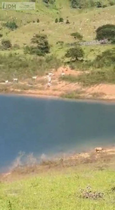 Imagem Chácara à Venda, 2.400.000 m² em Centro - Carmo Do Rio Claro Imagem Chácara à Venda, 2.400.000 m² em Centro - Carmo Do Rio Claro