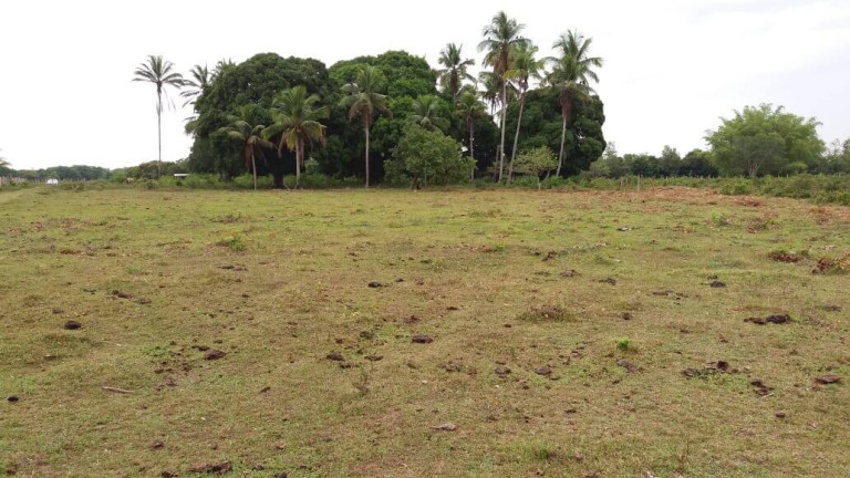 Imagem Chácara à Venda, 14 m² em Centro - Caravelas Imagem Chácara à Venda, 14 m² em Centro - Caravelas