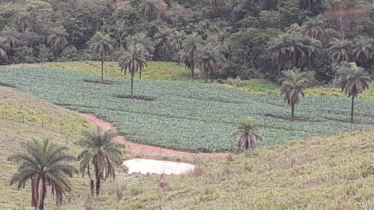 Imagem Fazenda à Venda, 1.950 m² em Centro - Córrego Danta Imagem Fazenda à Venda, 1.950 m² em Centro - Córrego Danta