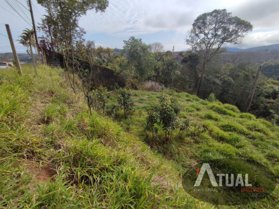 Imagem Terreno à Venda, 1.150 m² em Terra Preta - Mairiporã
