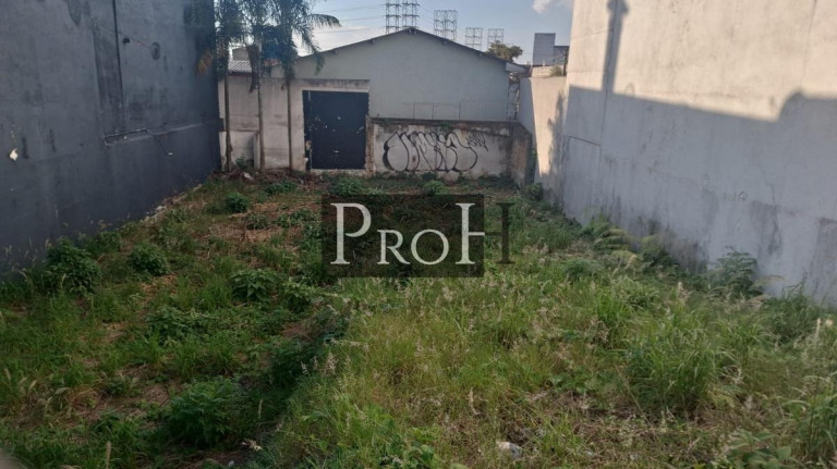 Terreno à Venda, 338 m² em Santo Antônio - São Caetano Do Sul