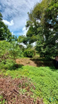 Imagem Fazenda à Venda, 25.000 m² em Jardim Cardoso (mailasqui) - São Roque Imagem Fazenda à Venda, 25.000 m² em Jardim Cardoso (mailasqui) - São Roque