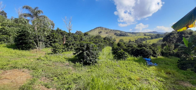 Imagem Imóvel à Venda, 3 m² em Milho Verde - Bandeira Do Sul Imagem Imóvel à Venda, 3 m² em Milho Verde - Bandeira Do Sul