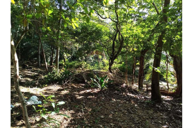 Imagem Terreno à Venda, 600 m² em Praia Do Forte - Mata De São João Imagem Terreno à Venda, 600 m² em Praia Do Forte - Mata De São João