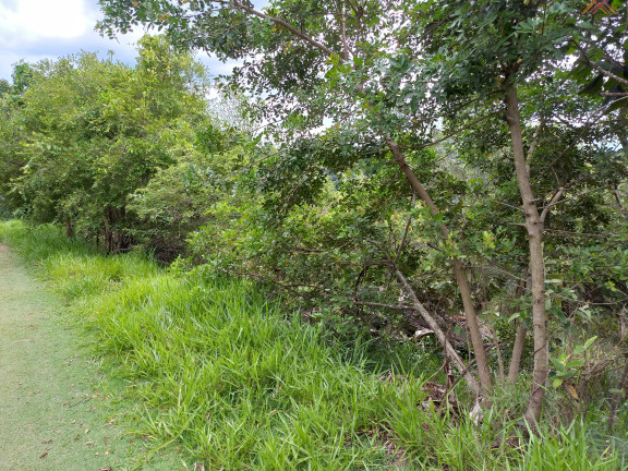 Imagem Terreno à Venda, 1.050 m² em Chácaras Bom Tempo - Franco Da Rocha