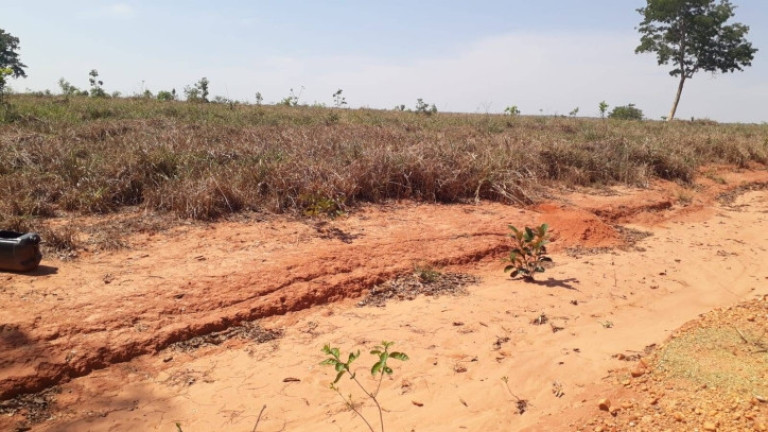 Imagem Fazenda à Venda, 100 m² em Zona Rural - General Carneiro Imagem Fazenda à Venda, 100 m² em Zona Rural - General Carneiro