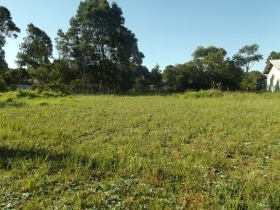 Imagem Terreno à Venda, 2.000 m² em águas Claras - Viamão