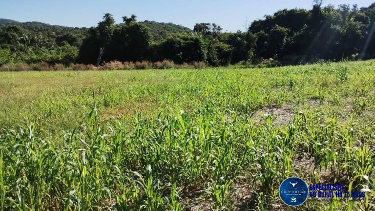 Imagem Fazenda à Venda, 92 m² em Zona Rural - Jaupaci Imagem Fazenda à Venda, 92 m² em Zona Rural - Jaupaci