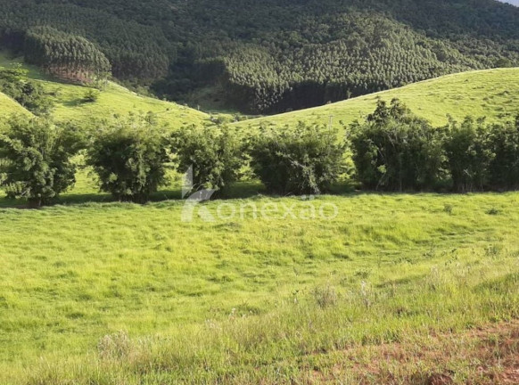 Imagem Fazenda à Venda, 400 m² em Jardim Prado - Santa Branca Imagem Fazenda à Venda, 400 m² em Jardim Prado - Santa Branca