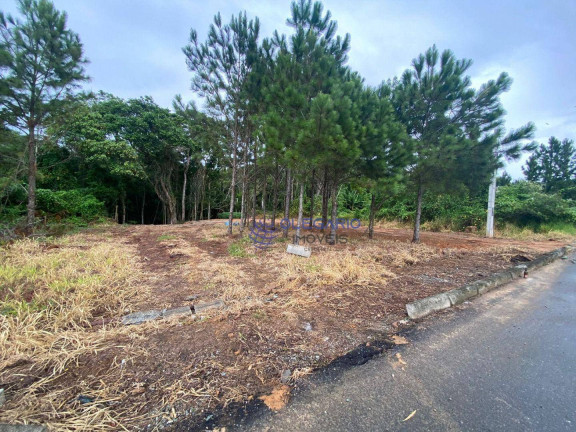 Imagem Terreno à Venda, 1.995 m² em Centro - Penha Imagem Terreno à Venda, 1.995 m² em Centro - Penha