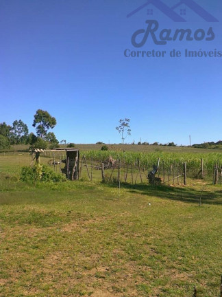 Imagem Imóvel com 3 Quartos à Venda, 20.000 m² em Itapua - Porto Alegre Imagem Imóvel com 3 Quartos à Venda, 20.000 m² em Itapua - Porto Alegre