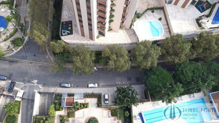 Imagem Apartamento com 3 Quartos à Venda, 117 m² em Chácara Klabin - São Paulo Imagem Apartamento com 3 Quartos à Venda, 117 m² em Chácara Klabin - São Paulo
