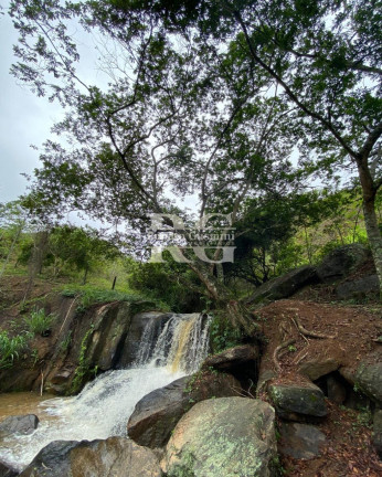 Imagem Imóvel com 3 Quartos à Venda, 629.200 m² em Nova Reta - Mendes