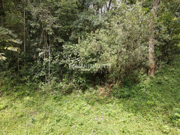 Imagem Terreno à Venda, 1.270 m² em Região Do Imbiri - Campos Do Jordão Imagem Terreno à Venda, 1.270 m² em Região Do Imbiri - Campos Do Jordão