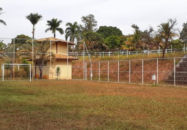 Imagem Imóvel com 8 Quartos à Venda, 32.000 m² em Curralinho - Igarapé