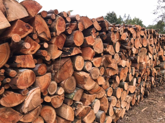 Imagem Terreno à Venda, em Pilar Do Sul Imagem Terreno à Venda, em Pilar Do Sul