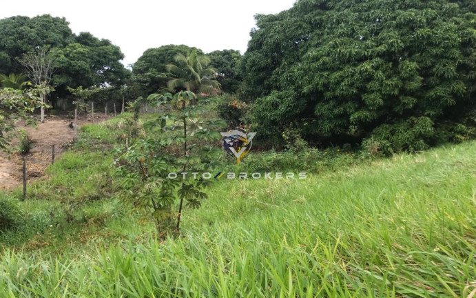 Imagem Terreno à Venda, 7.500 m² em Tânia - Santa Cruz Cabrália
