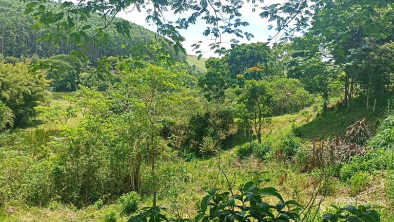 Imagem Chácara com 4 Quartos à Venda, 400 m² em Centro - Jambeiro Imagem Chácara com 4 Quartos à Venda, 400 m² em Centro - Jambeiro