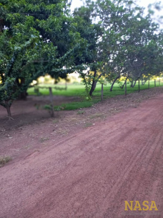 Imagem Chácara com 2 Quartos à Venda, em Cuiabá Imagem Chácara com 2 Quartos à Venda, em Cuiabá