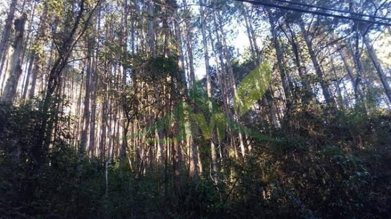 Imagem Terreno à Venda, 22.000 m² em Portão - Atibaia Imagem Terreno à Venda, 22.000 m² em Portão - Atibaia