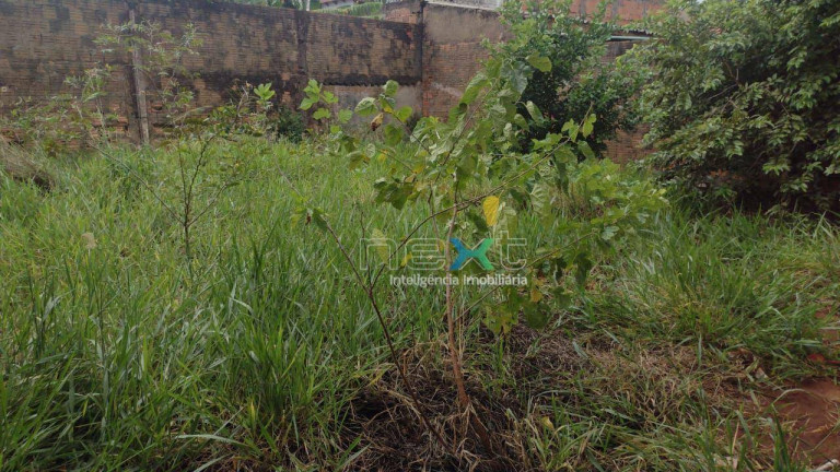 Imagem Terreno à Venda, 360 m² em Vila Carlota - Campo Grande Imagem Terreno à Venda, 360 m² em Vila Carlota - Campo Grande